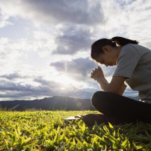 Para colher é necessário persistir e esperar