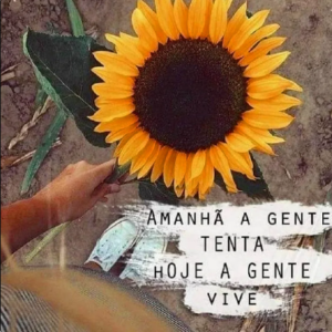 Viva seu dia de hoje