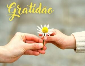 Sinta e expresse sua gratidão