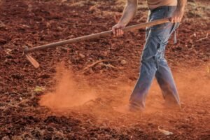 Quando o solo não for bom… prepare-o